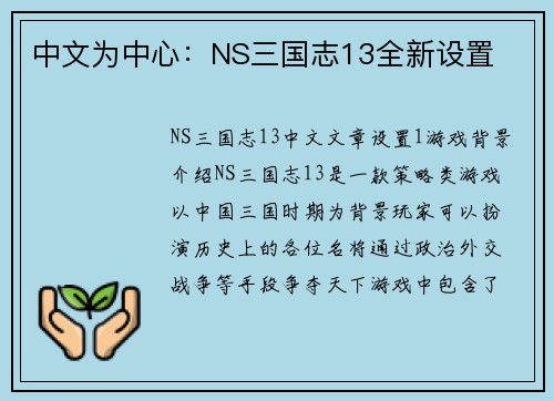 中文为中心：NS三国志13全新设置